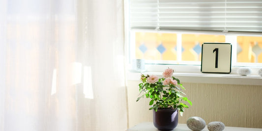 Curtains or Blinds: Which is Best for Your Windows?