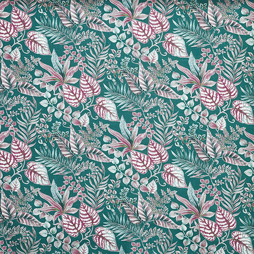 Paloma Blueberry Sample