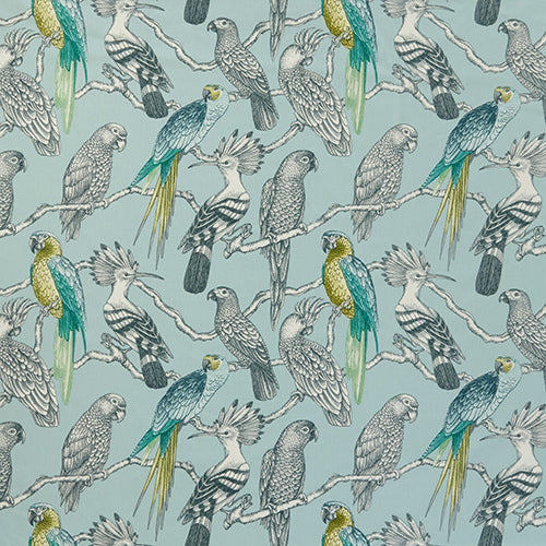 Aviary Caribou Sample