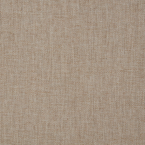 Jacob Charcoal Sample