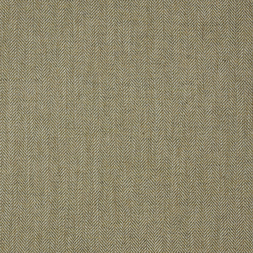 Jacob Charcoal Sample