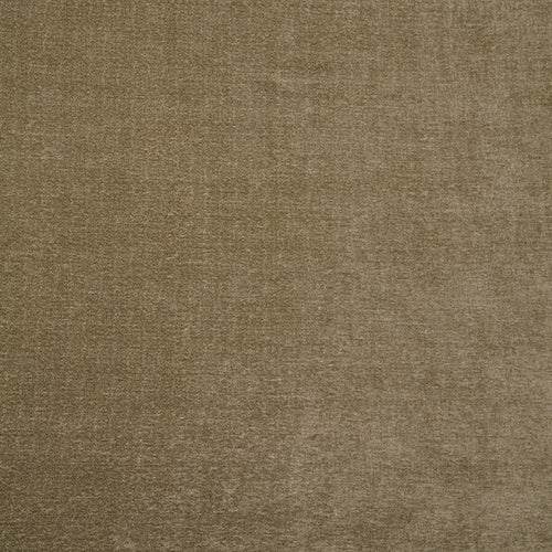 Layton Arctic Sample