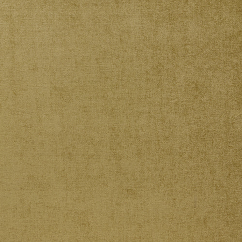 Layton Arctic Sample