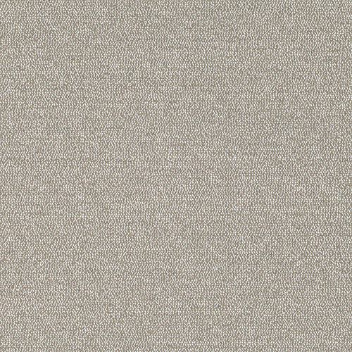 Olavi Stucco Sample