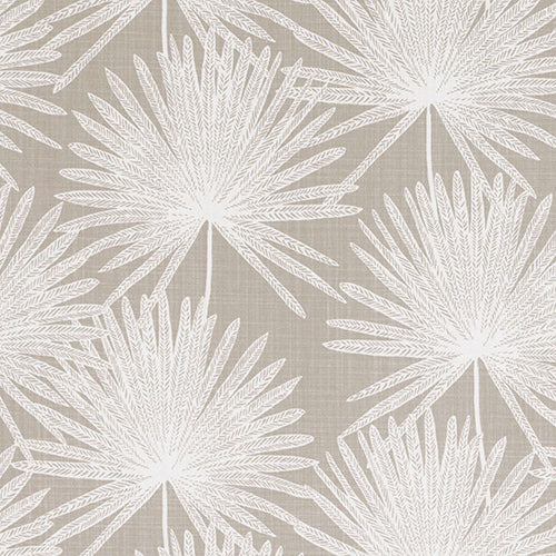 Camansi Mushroom Sample