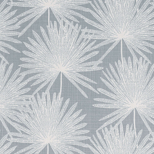 Camansi Cirrus Sample