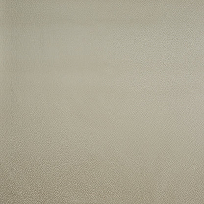 Crater Ivory Fabric Sample