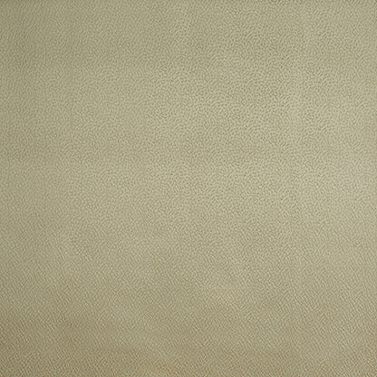 Crater Sandlewood Fabric Sample