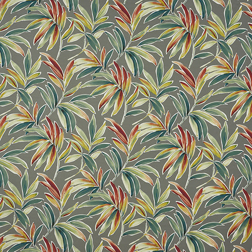Ventura Jungle Sample