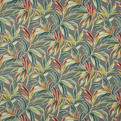 Ventura Jungle Sample
