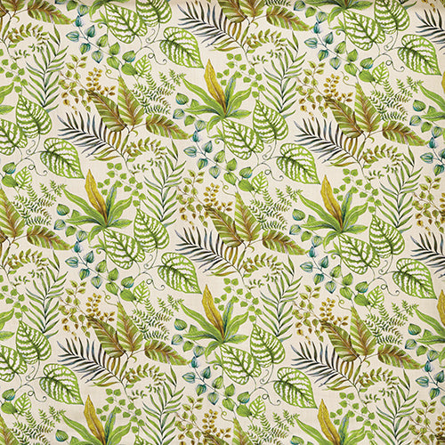 Paloma Palm