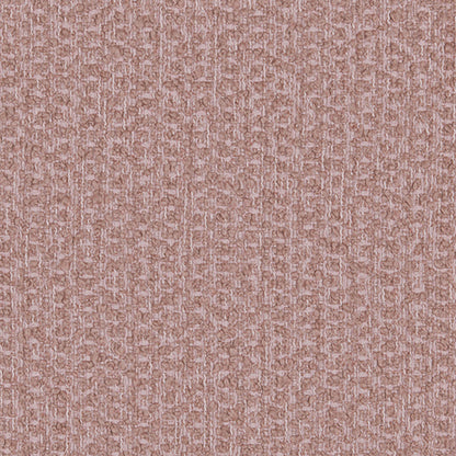 Arlo Fuchsia Sample