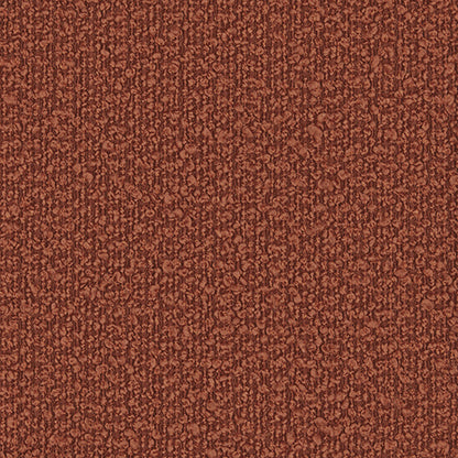 Arlo Fuchsia Sample