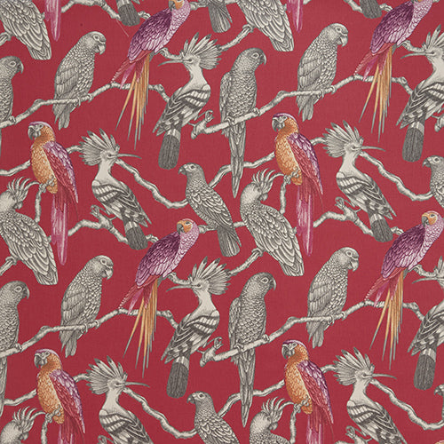 Aviary Pomegranate