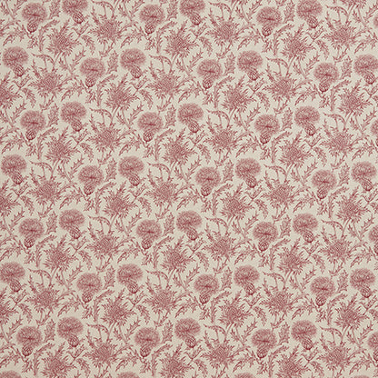 Carlina Dusk Sample