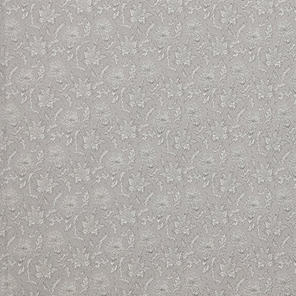 Carlina Dusk Sample