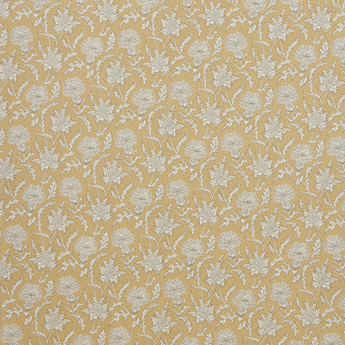 Carlina Ochre