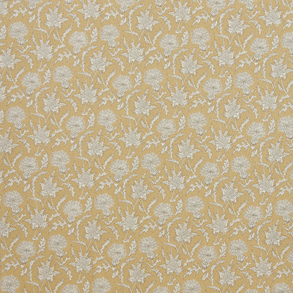 Carlina Dusk Sample