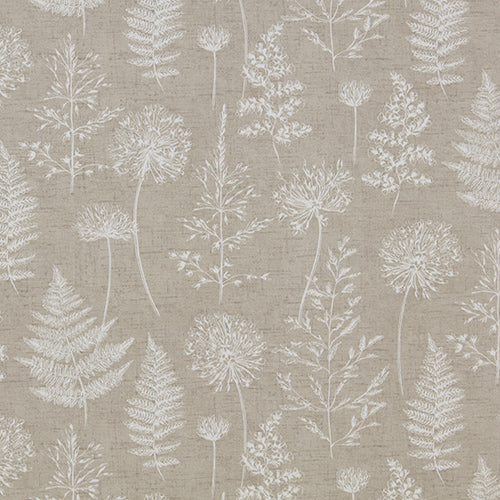 Chervil Clay