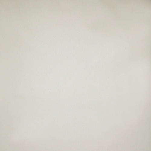 Cirrus Cream