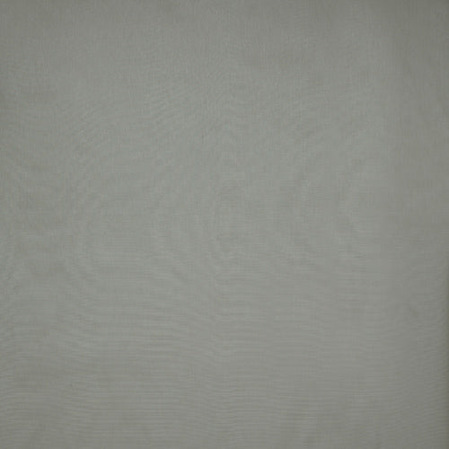 Cirrus Mink