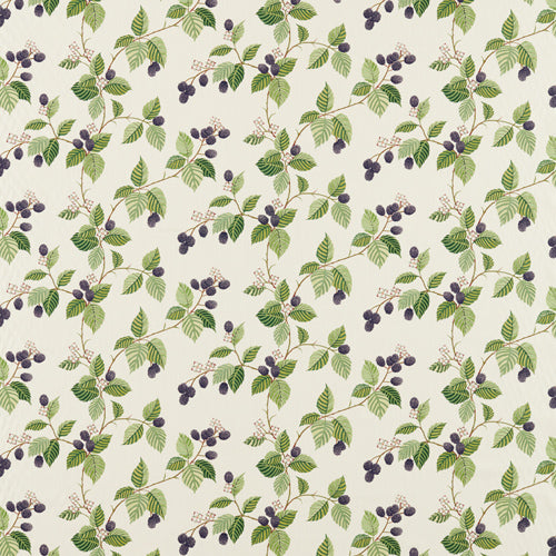Rubus Blackberry Fabric Sample