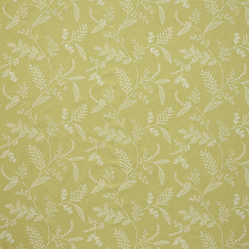 Harper Fern