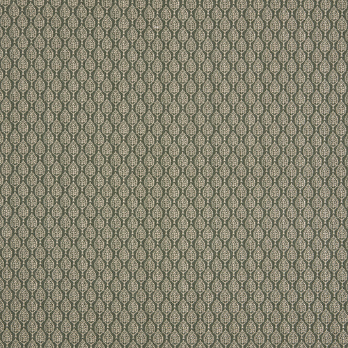 Kemble Spruce