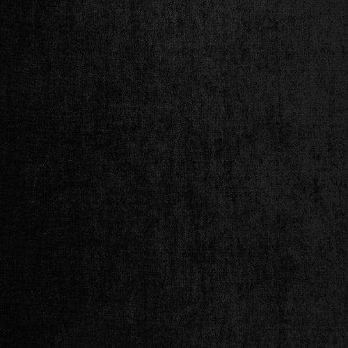 Layton Black