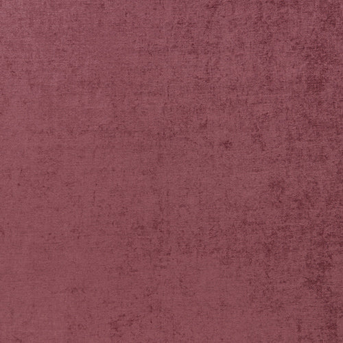 Layton Pink