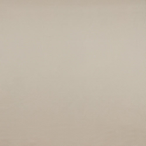 Pearl Dot Stone