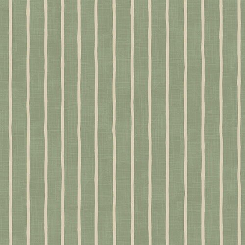 Pencil Stripe Lichen