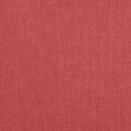 Ruskin Raspberry Sample