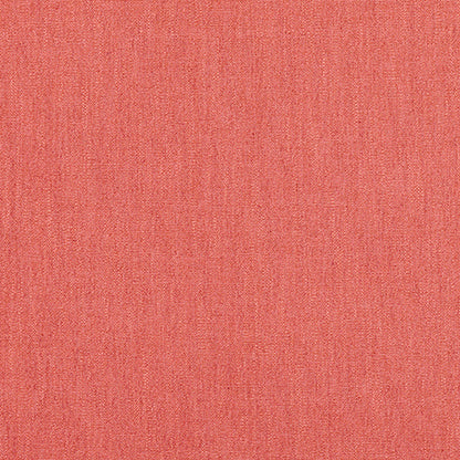 Ruskin Red Coral Sample