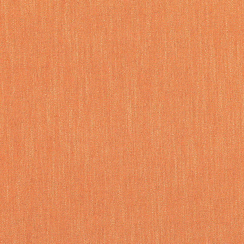 Ruskin Mango