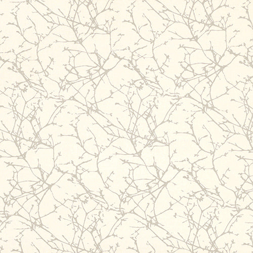 Acacia Oyster Sample