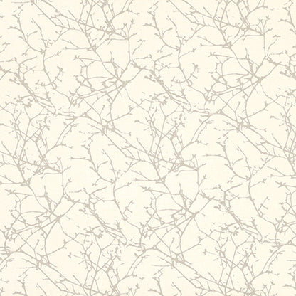 Acacia Oyster Sample