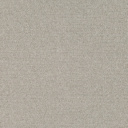 Olavi Stucco Sample