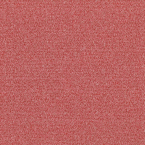 Olavi Red Tulip