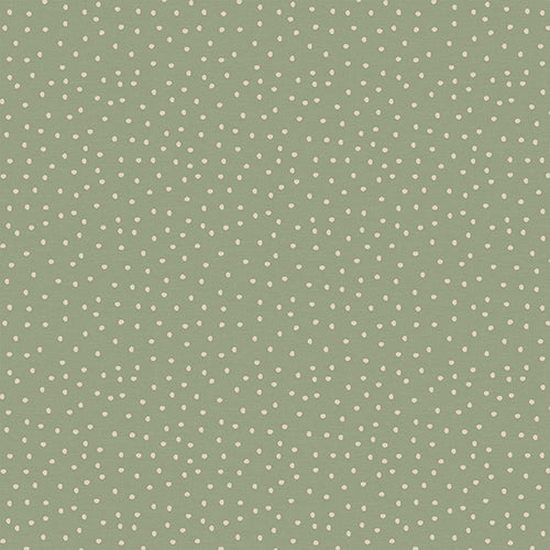 Spotty Lichen