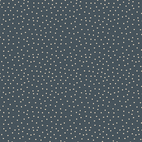 Spotty Midnight