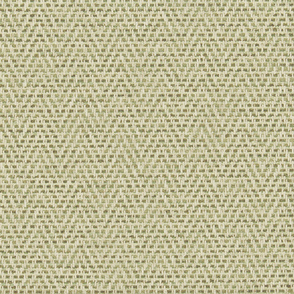 Summit Almond Sample