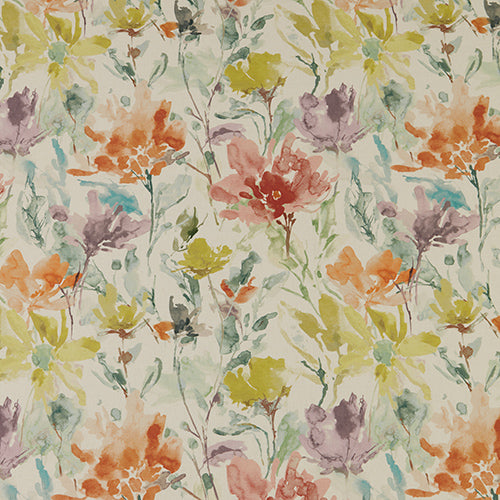 Water Meadow Clementine