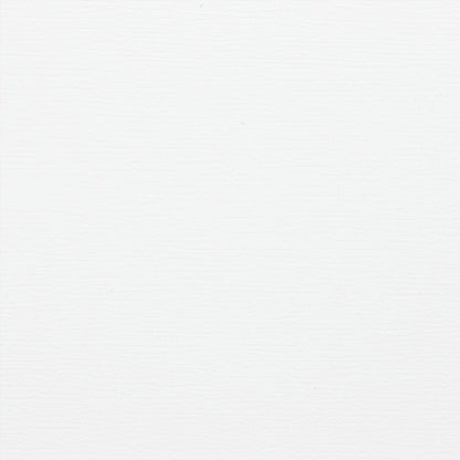 White Venetian Blind